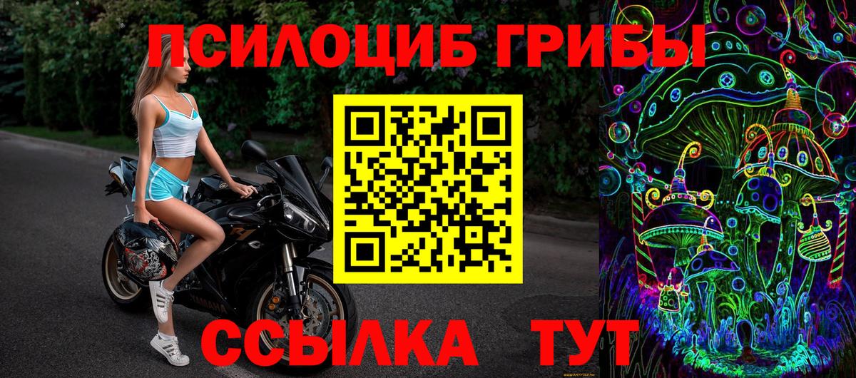 Усть-Илимск  Галлюциногенные грибы прущие грибы  Вход с VPN 